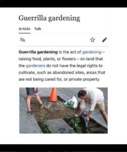 Guerilla Gardening wikipedia entry