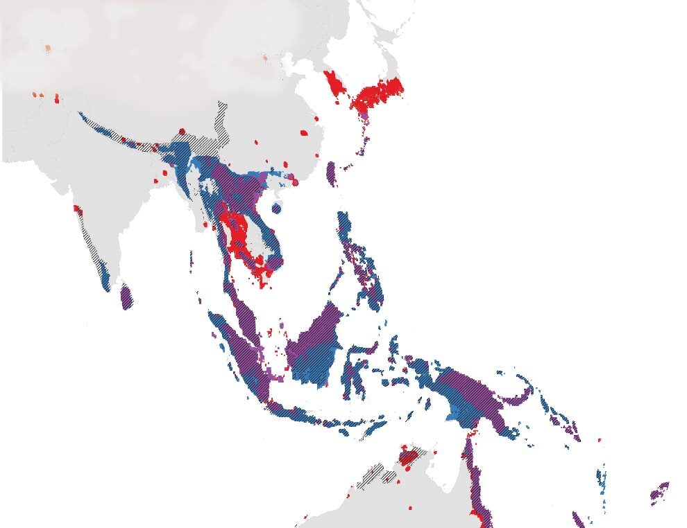 Map highlighting ant biodiversity centers in Asia—areas that harbor many ant species with small ranges. The different colors indicate how the importance of each region may change with future research around the globe. Red areas are predicted to decrease in importance, purple areas will remain among the most important regions even after more areas are studied, and blue indicates areas that should be targets for exploration as they are predicted to harbor hidden diversity. This is a modified version of a figure in Kass et al, Science Advances, August 2022.
