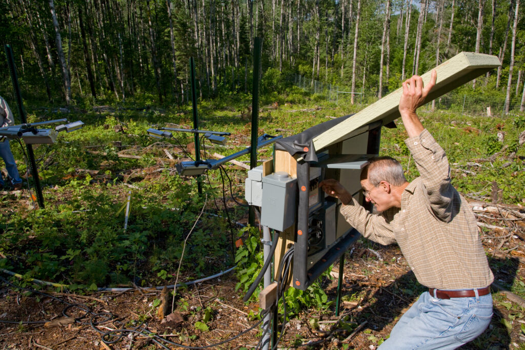 University of Michigan forest ecologist Peter Reich of the School for Environment and Sustainability checks the power supply and warming control box. Infrared lamps and soil cables warm experimental plots in northeastern Minnesota. Image credit: David Hansen, University of Minnesota