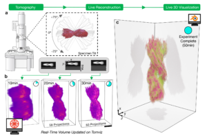 This diagram illustrates the process of pulling two-dimensional projection images from an electron microscope and rendering them into a three-dimensional visualization.
