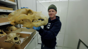 Charlie Engleman with a bear skull