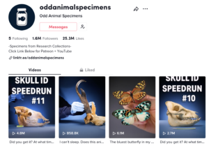 Screenshot of Engleman's tiktok account