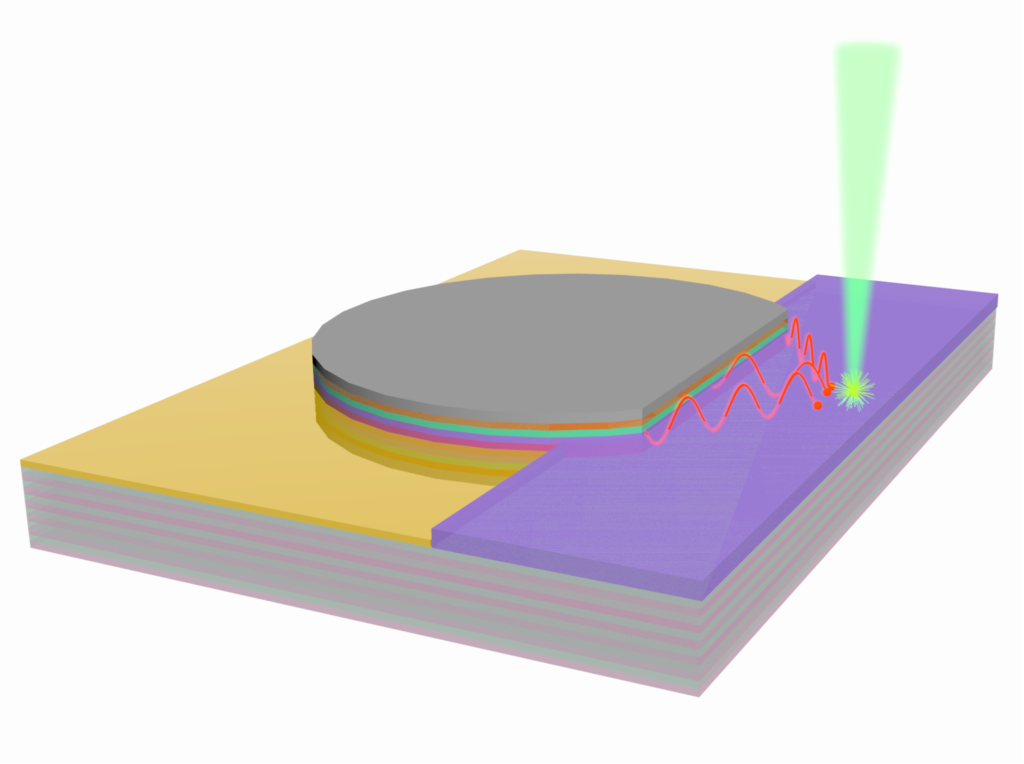 The diagram shows light hitting the semiconductor (purple) layered over the mirror-like photonic structure. The polaritons—mixtures of light, electrons and "holes"—then travel to the detector (truncated disc), where they generate current. Image credit: Xinjing Huang and Bin Liu, Optoelectronic Components and Materials Group