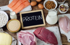 Protein