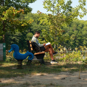Student writes at lakeside with a seahorse