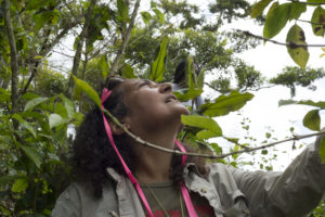 Ivette Perfecto, a professor at U-M’s School for Environment and Sustainability, looks at the damage sustained by a coffee farm in Utuado, Puerto Rico. Perfecto, who is originally from Puerto Rico, is leading a project to increase the region’s energy and agricultural resilience through the use of gasification and its byproduct, biochar. Photo credit: Levi Stroud.