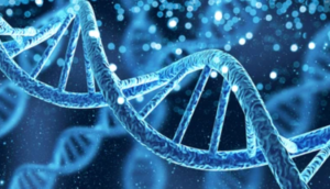 Strand of DNA