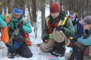 Squirrel researchers at Squirrel Camp the Yukon, Canada. Image credit: Ben Dantzer