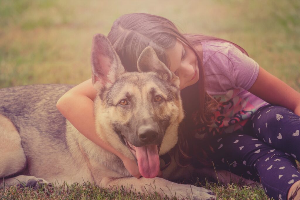 Child and German Shepherd, Image credit: Image by Nicole Miranda, Pixabay.com