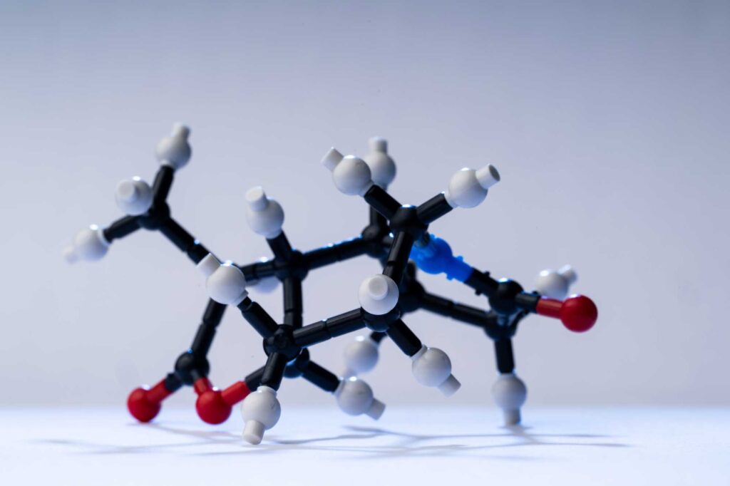 Replica of the complex molecule, stemoamide, built in mere three steps in Tim Cernak's Lab. Image credit: Austin Thomason, Michigan Photography