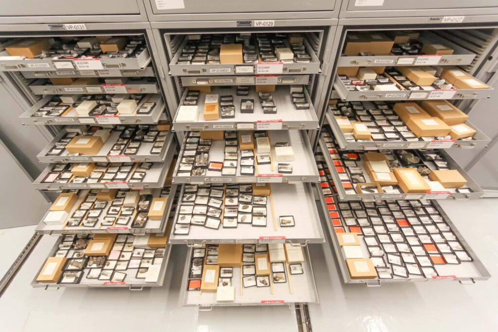 Drawers in the vertebrate paleontology collection of the University of Michigan Museum of Paleontology. The hundreds of fossils shown here--mostly teeth and jaws of mammals from around 50 million years ago--represent a tiny fraction of the Museum's collection of roughly 4 million individual specimens. Image credit: University of Michigan Museum of Paleontology