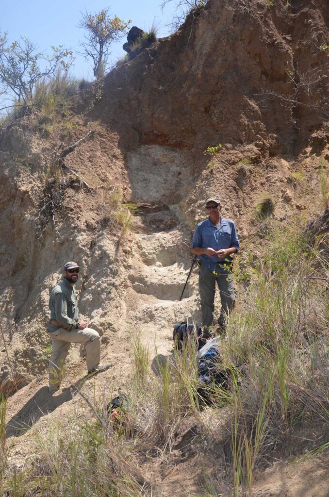 Dan Peppe (Baylor University) and John Kingston (University of Michigan) trench fossil soils for paleoenvironmental indicators at the fossil site of Moroto II in eastern Uganda. This is the stratigraphic level of the site Moroto II which yielded both fossils of Morotopithecus and the paleoenvironmental data indicating the presence of abundant C4 grasses in an open woodland habitat. Image credit: L. MacLatchy