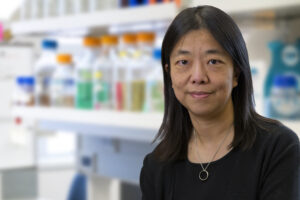Vivian Cheung