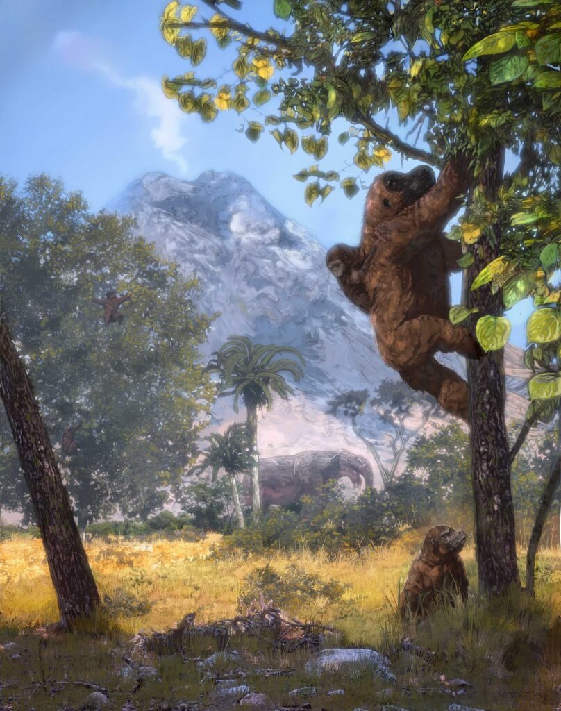 Artistic rendering of the open woodland habitat reconstruction at Moroto II with Morotopithecus bishopi vertically climbing with infant on back and juvenile below. Active volcano (Mount Moroto) is in background. Fossil relative of an elephant (Prodeinotherium) is foraging in center back. Image credit: Corbin Rainbolt