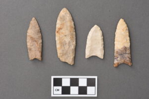 Image courtesy of the University of Michigan Museum of Anthropological Archaeology Folsom points, which date to between 11,000 and 10,000 years ago, are associated with the prehistoric hunting of bison. These points are objects 27673, 39802, 30442, and 37737.