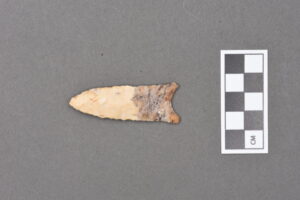 Image courtesy: University of Michigan Museum of Anthropological Archaeology
Folsom points, which date to between 11,000 and 10,000 years ago, were believed to be used in the prehistoric hunting of bison. This is object 37737.