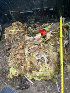 A pile of organic waste from Matthaei Botanical Gardens. It looks like trash now, but Wooldridge’s team sees its potential value. Image credit: Tony Kolenic