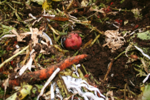 When food and other organic waste goes to landfills, it rots and emits methane, a potent greenhouse gas. A team of researchers plan to reduce Matthaei’s organic waste emissions by upcycling it into useful products and energy. Image credit: jbloom via Openverse