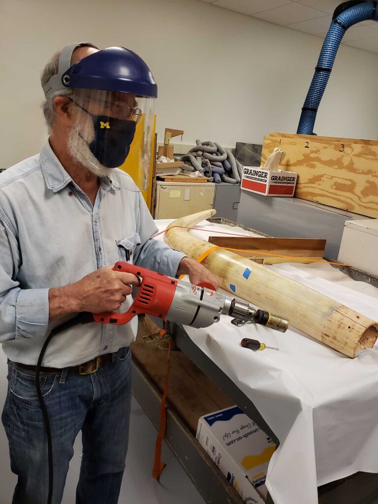 University of Michigan paleontologist Daniel Fisher cutting a core sample from the African elephant tusk that was analyzed in the University of Michigan-led testosterone study. Image credit: Ethan Shirley
