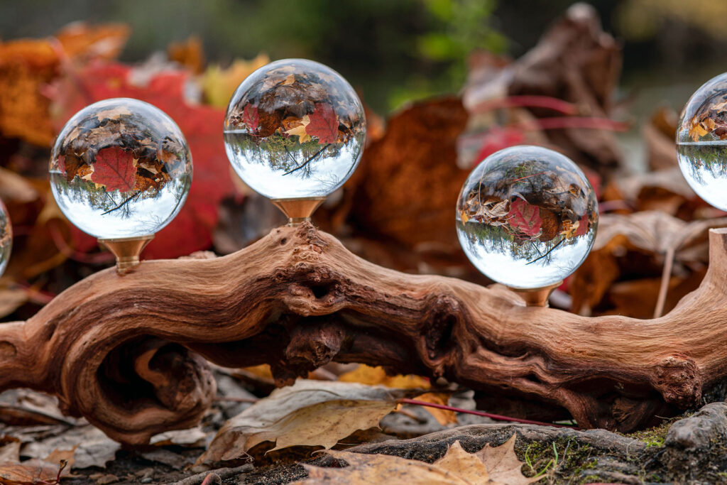 Five clear crystal balls on brown tree log. Image credit: David West, Unsplash.com