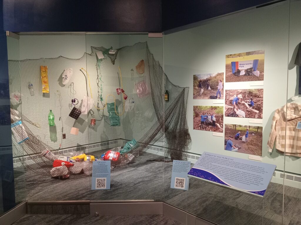 University of Michigan researchers, in collaboration with researchers at the Dossin Great Lakes Museum, have created an exhibit exploring microplastics in the environment. The exhibit will be displayed until April 2024. Image courtesy: Casie Blovsky, Dossin Great Lakes Museum