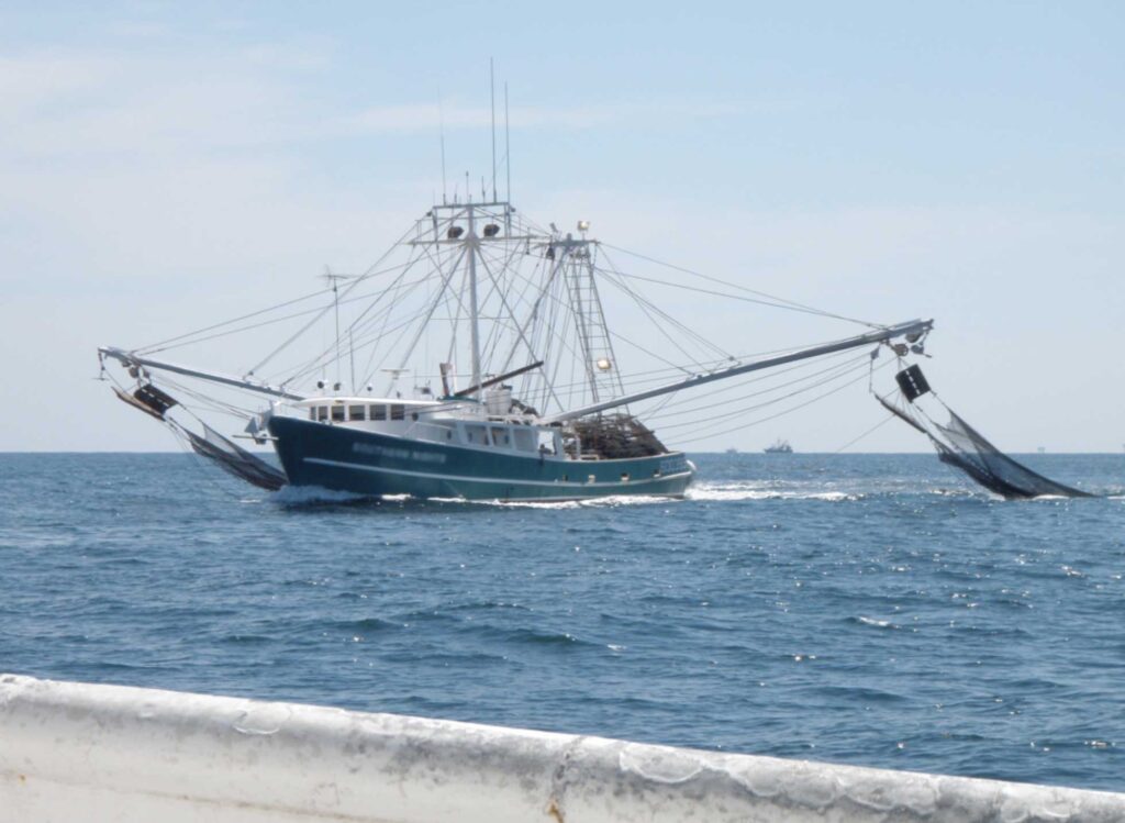 A shrimp boat trawls for shrimp in the Gulf of Mexico. Image credit: Brendan Turley, NOAA Fisheries