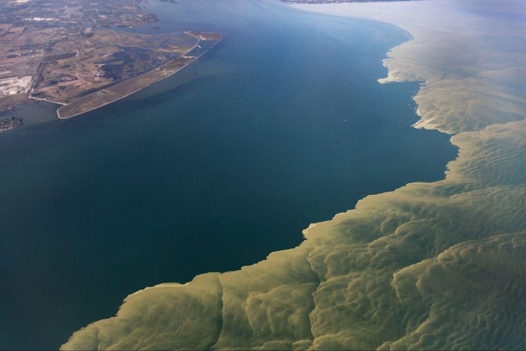 Algal bloom in the western basin of Lake Erie, as seen by aircraft during a flyover in September 2017. Image credit: Zachary Haslick, Aerial Associates Photography Inc.