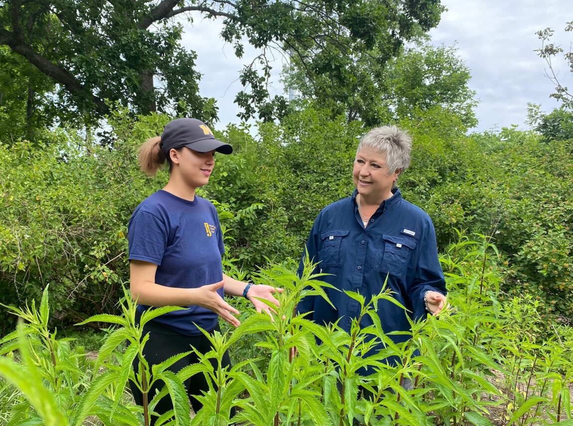 UM-Dearborn's interpretive naturalist Dorothy McLeer, right, chats with student naturalist Valerie Osowski in the campus' rain garden. (Photo by Sarah Tuxbury, UM-Dearborn)