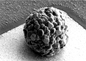 A gray sphere with a rough surface (battery particle) sits on top of a white surface (microelectrode) on a gray background.