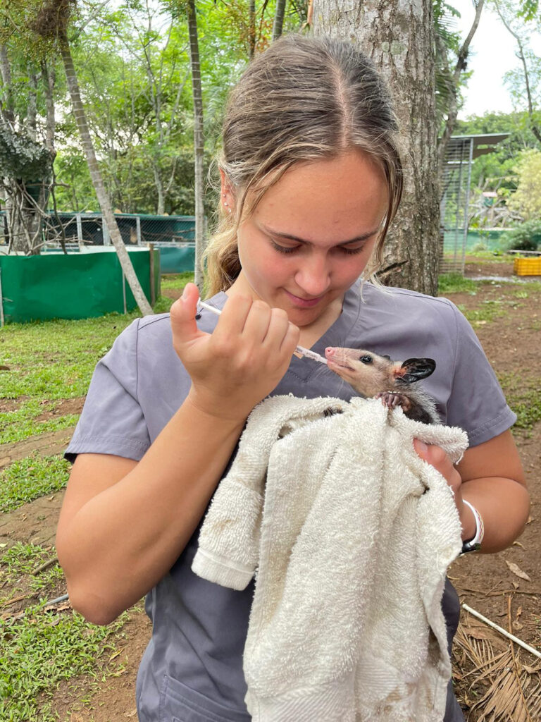 Photo of a woman holding a small animal and nursing it with a bottle.