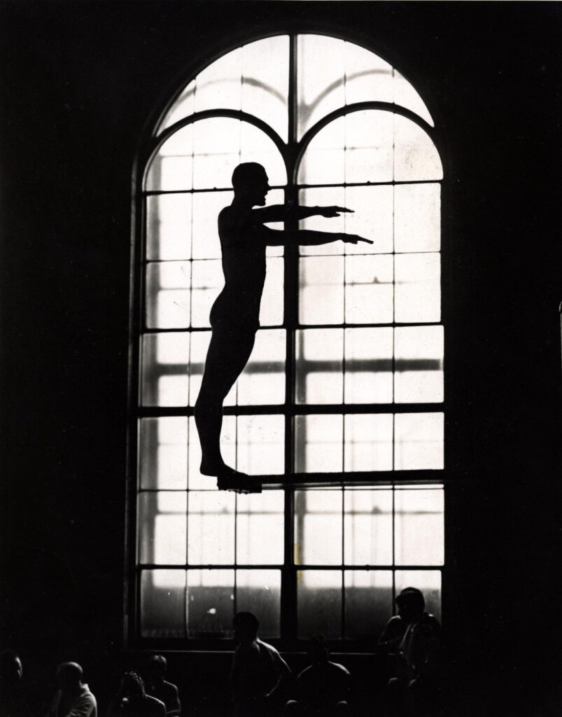 A photo of a diver
