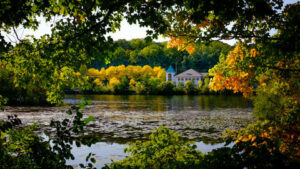 A view of the Huron River from Argo Nature Area, 2020.