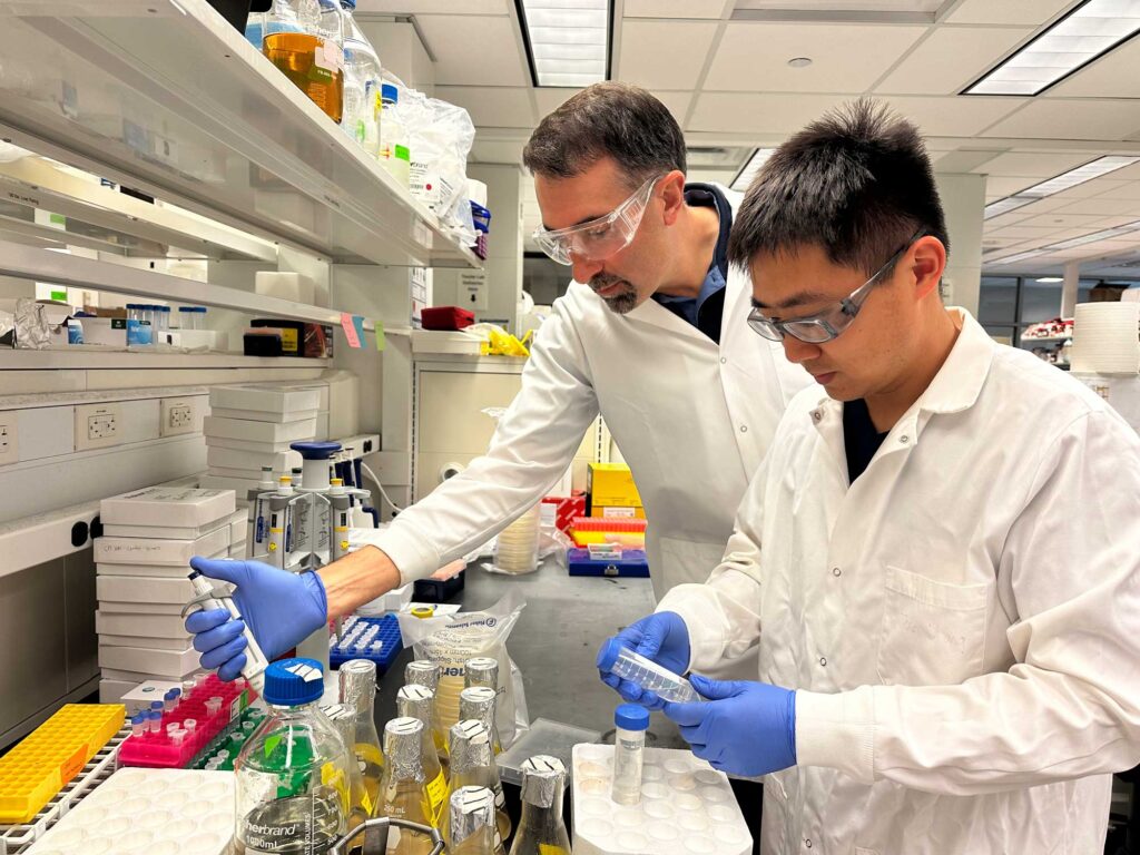Two men wear white lab coats, blue gloves, and safety goggles while standing at a black lab bench. On the bench are several flasks filled with a yellow-brown fluid and test tubes in racks. Tessier, on the left, appears to dispense something into a tube while Tiexin, on the right, holds a centrifuge tube that contains a clear liquid.