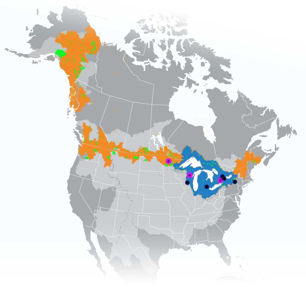The new Global Center will draw on relationships and policies from transboundary watersheds and Indigenous Territories along the entire US- Canada border (orange and green regions, respectively). The Great Lakes basin (blue) serves as an initial area of focus. Directly funded project partners are identified as black dots, with Indigenous partners highlighted by a purple ring. All of North America's transboundary basins are highlighted in light grey for reference Image credit: University of Michigan School for Environment and Sustainability and Office of the U-M Vice President for Research