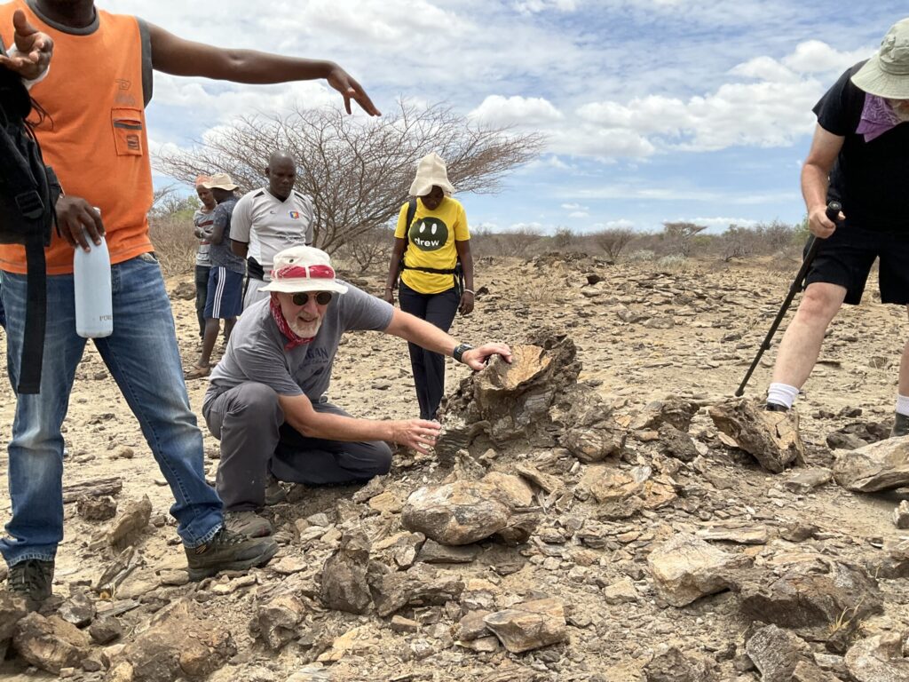 University of Michigan researcher Bill Sanders poses with a newly discovered skull and skeleton of a palaeoloxodont elephant, which is about 1.2 million years old. Image courtesy: Bill Sanders
