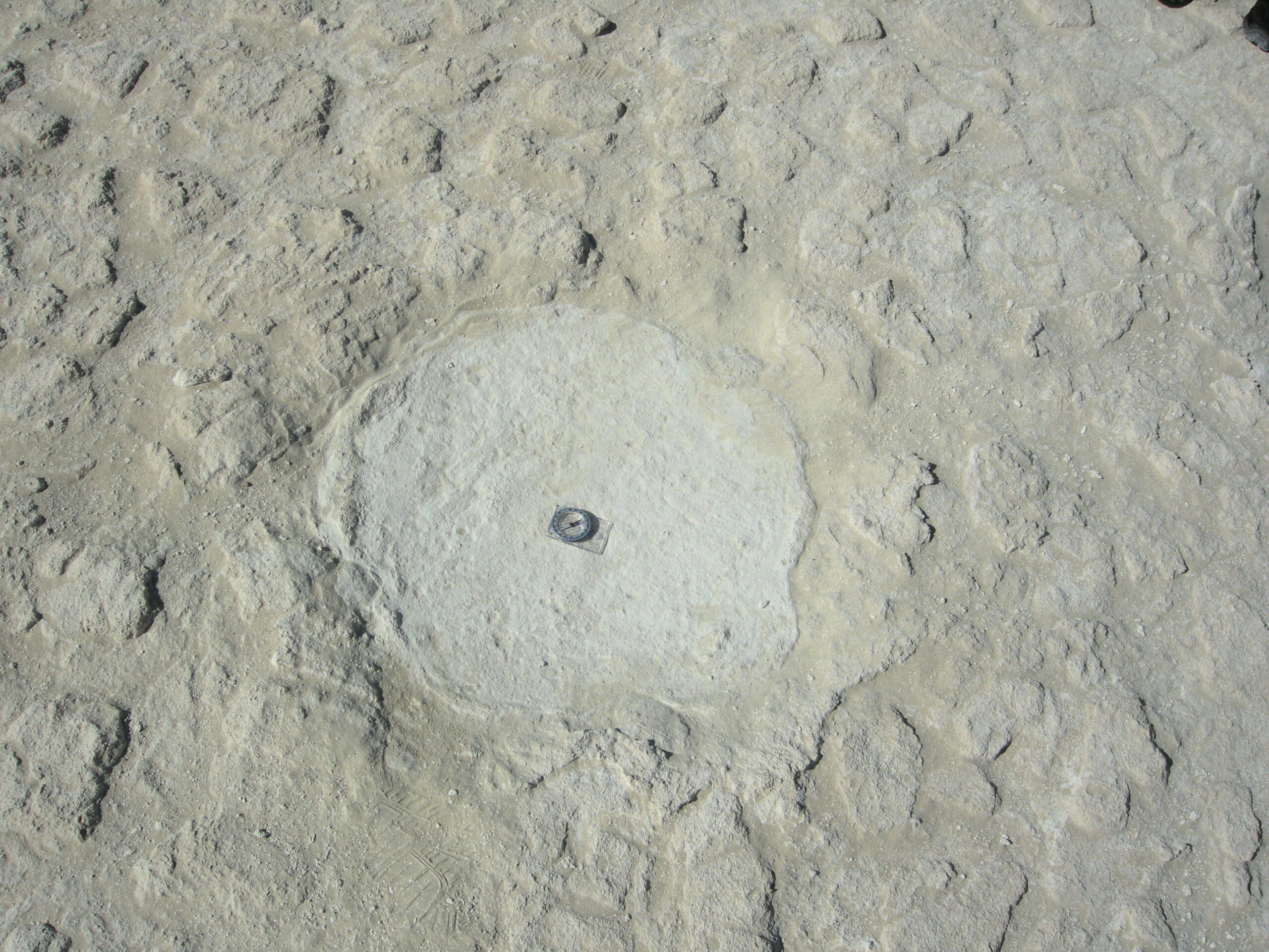 A track of an elephant was imprinted at the site of Mleisa in Abu Dhabi (U.A.E.) sometime between 8 and 7 million years ago. Image credit: Bill Sanders