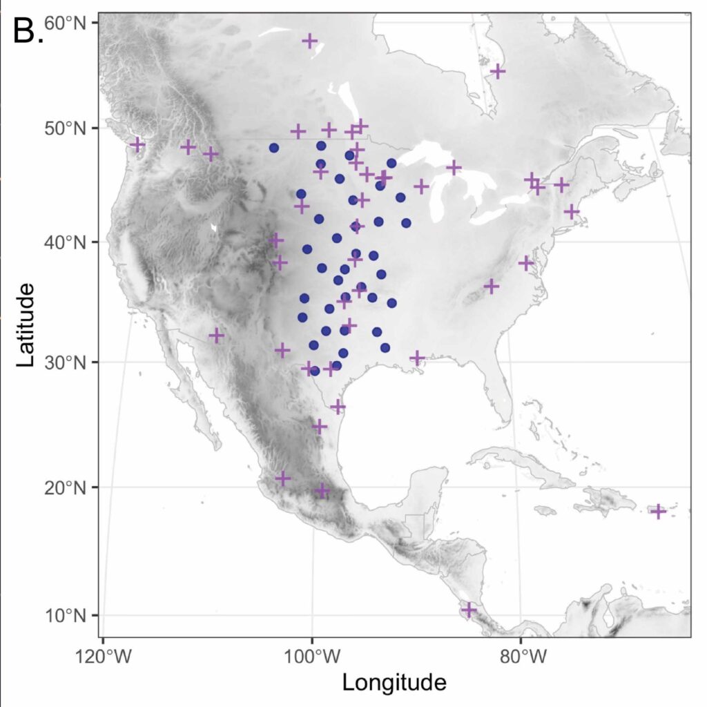 Distribution of NEXRAD radar stations (dark blue circles) and SuperMAG inventory magnetometer stations (purple crosses) used in the study in relation to topography (grayscale). Researchers used the three closest and active magnetometer stations surrounding each radar station to interpolate ΔBmax, or maximum change in the magnetic field from quiet conditions, every hour. Image credit: Gulson-Castillo et al. in PNAS, October 2023
