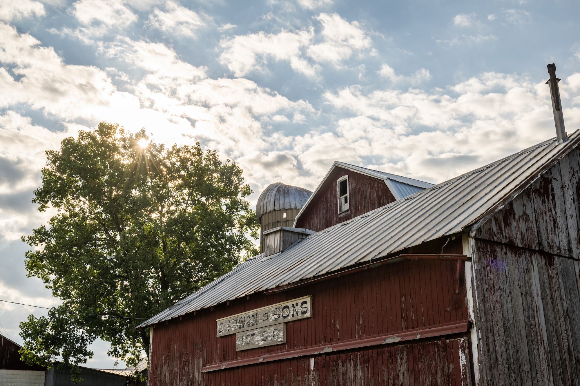 The Irwin family's sesquicentennial farm, owned by brothers Tom and Jim Irwin. The 158-acre farm in Grass Lake features rolling farmland, forest and wetlands. Image credit: Austin Thomason, Michigan Photography