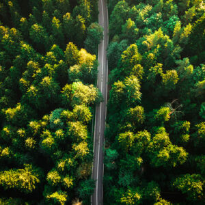 An overhead view of a road cutting through a forest.