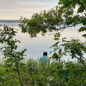 Two people shot from behind sitting at a lakefront. View is through tall grasses.