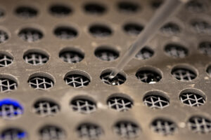 A neat grid of holes are drilled into a metal plate, which is covering a gray screen mesh. The screen is visible beneath the holes of the plate. A plastic pipette tip deposits small beads of water into several wells.