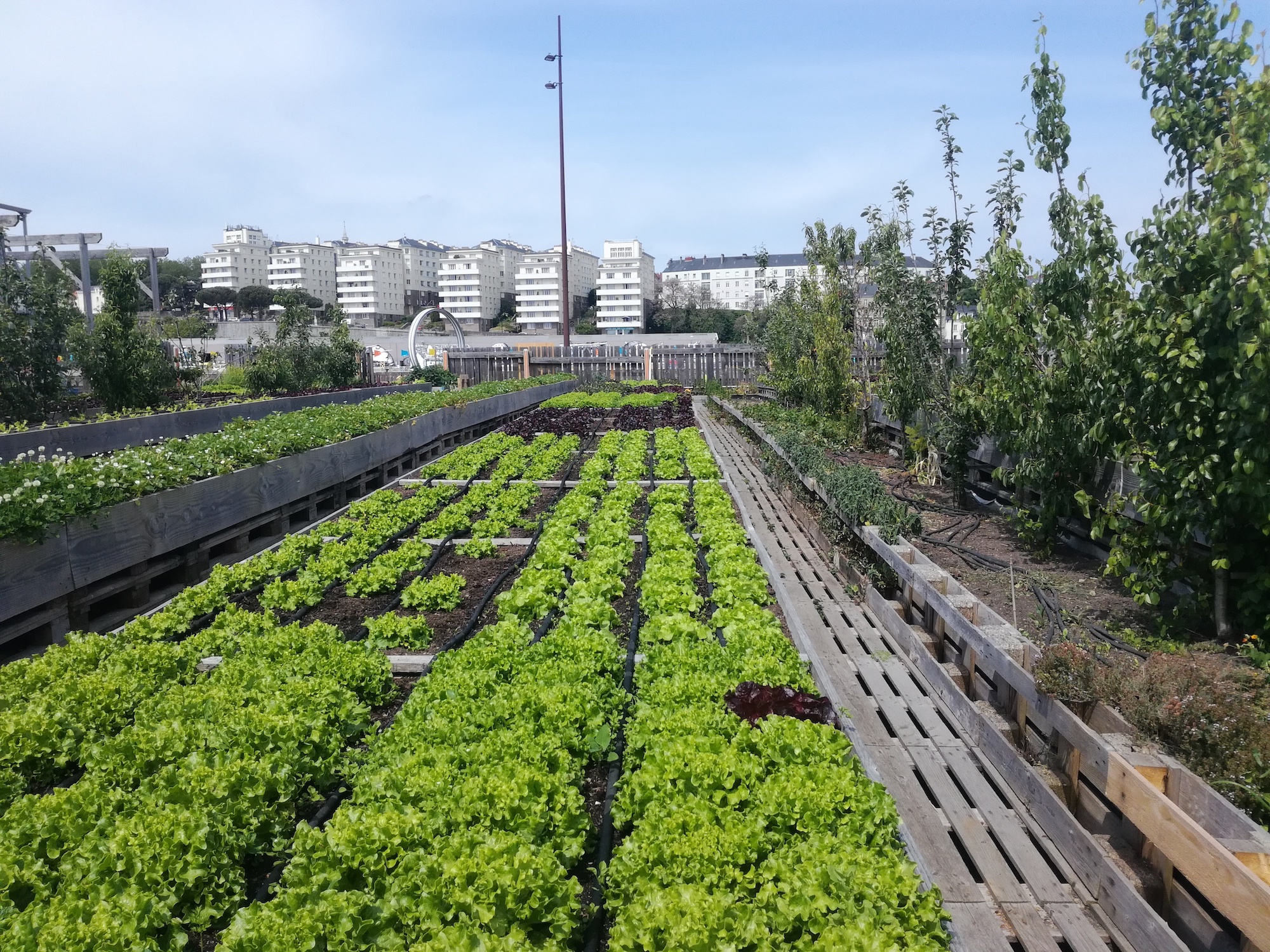 Urban garden in Nantes, France. Image credit: Baptiste Grard