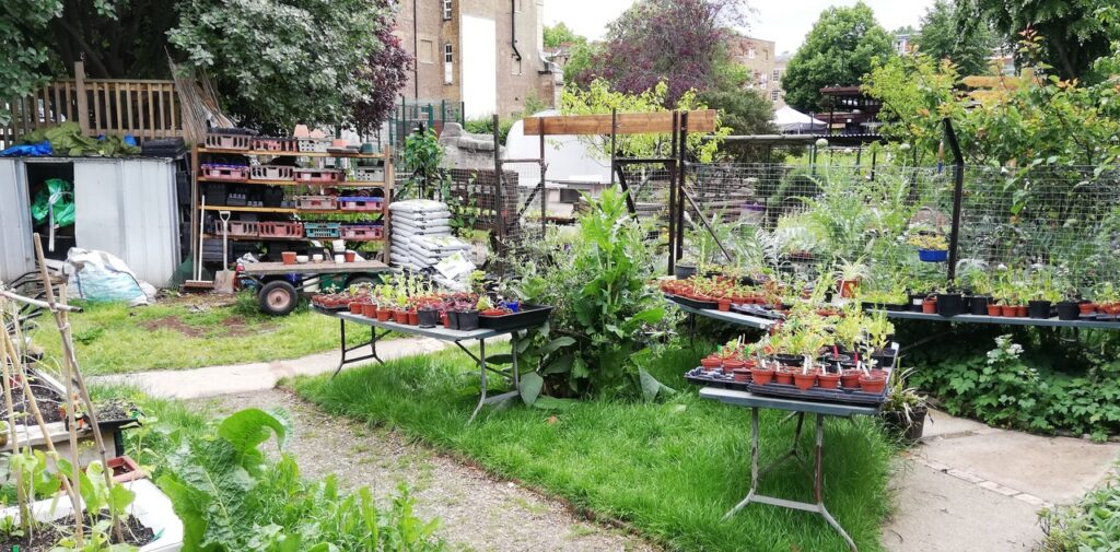 Preparing seedlings for planting at a collective garden in London, England. Urban food production spaces like this can provide numerous social and community benefits but require careful crop selection and management to cut the carbon footprints of cities. Image credit: Victoria Schoen