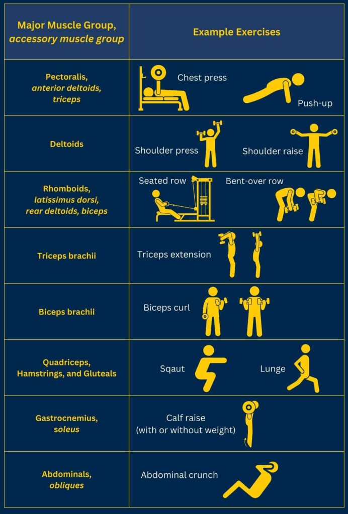 Infographic adapted from the 2023 American Heart Association Scientific Statement on resistance training