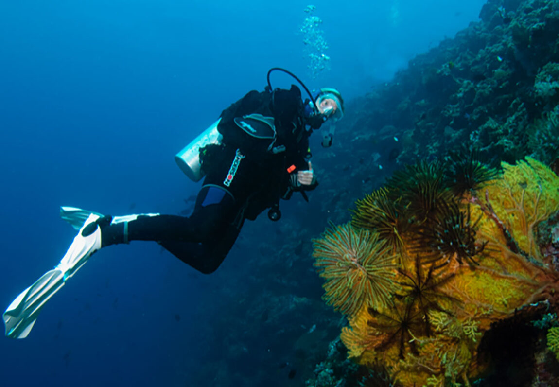 A photo of a woman scuba diving