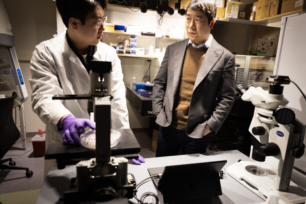 Jianping Fu, Ph.D., Professor of Mechanical Engineering at the University of Michigan and the corresponding author of the paper being published at Nature discusses his team’s work in their lab with Jeyoon Bok, Ph.D. candidate at the Department of Mechanical Engineering. Image credit: Marcin Szczepanski, Michigan Engineering