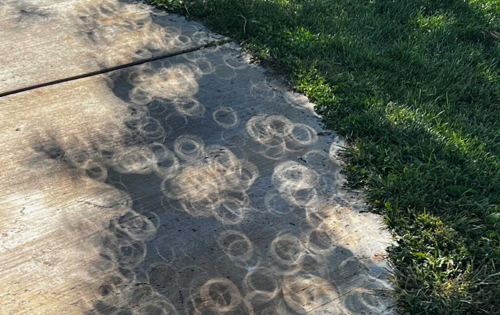 Shadows cast by the leaves of a tree show the central phase of the annular eclipse in Rio Rancho, New Mexico, on Oct. 14, 2023. The space between leaves acts as a natural pinhole projector to safely view the progress of an eclipse. Image credit: David Gerdes