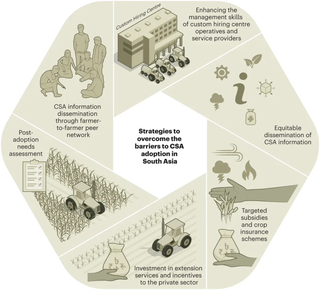 Infographic illustration depicting strategies to overcome barriers to CSA adoption in South Asia. Image courtesy of the researchers.