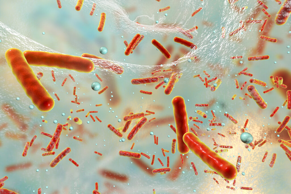 Multidrug resistant bacteria inside a biofilm. Image credit: iStock