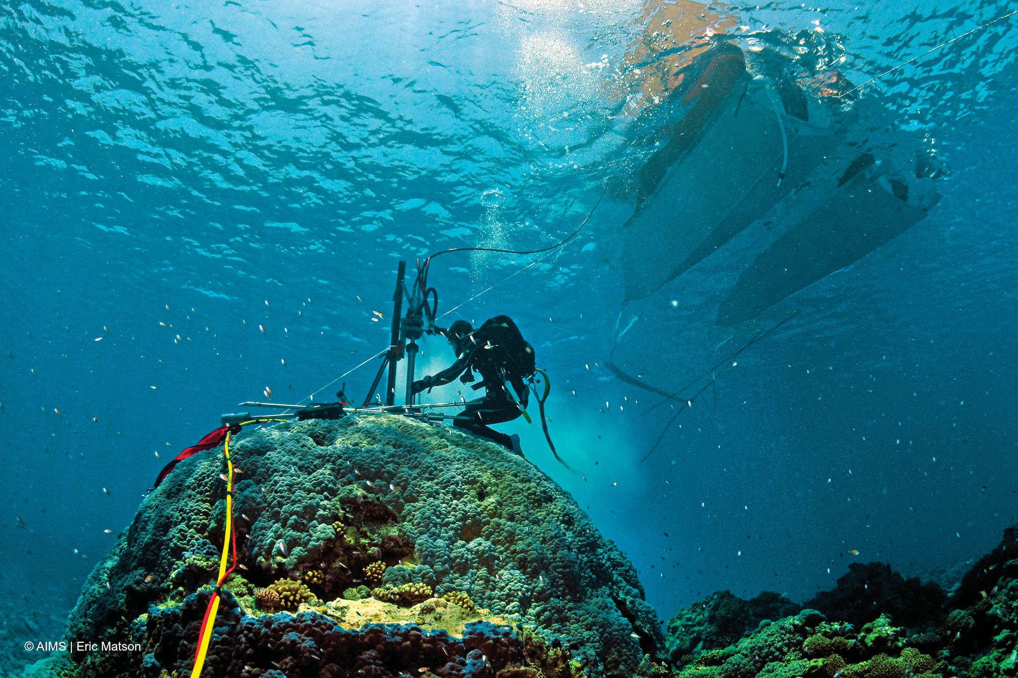 Hydraulic coral coring. Image credit: Eric Matson, Australian Institute of Marine Science
